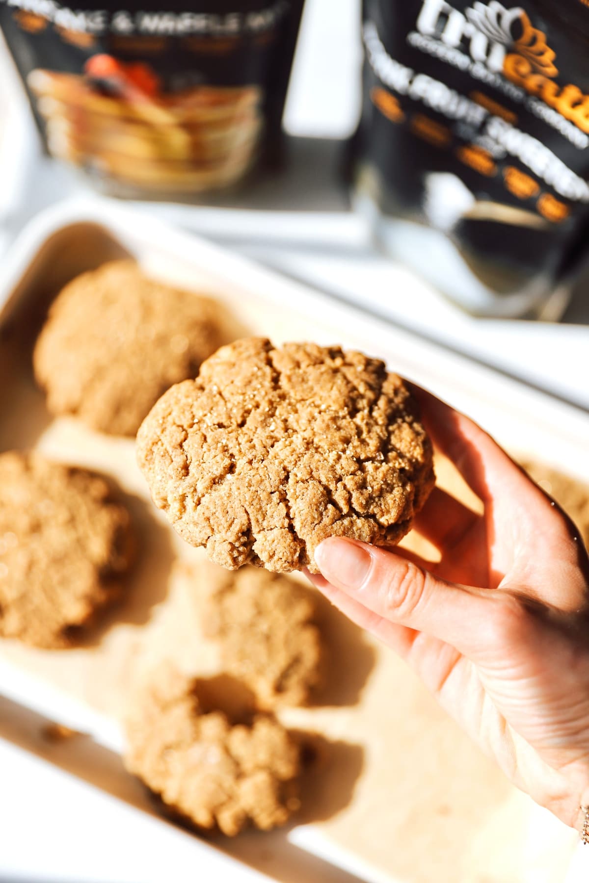Gingerbread Cookies