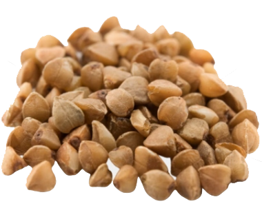 Buckwheat