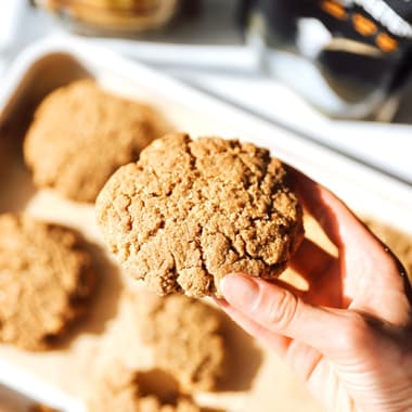 Gingerbread Cookies